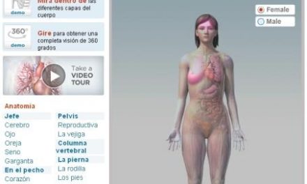 Explora el cuerpo humano en 3D de una forma didáctica con BodyMaps