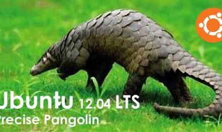 Descargar Ubuntu 12.04 LTS Precise Pangolin