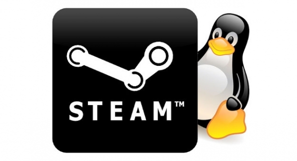 Descargar e instalar Steam en Linux (Ubuntu)